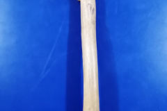 fémur5