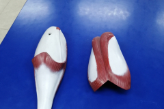 manmusculos8