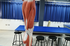 minferior3