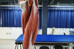 minferior5