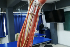 msuperior8