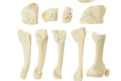 QS_40_2_A